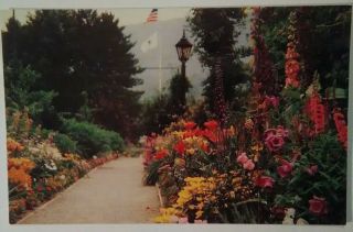 Vintage Massachusetts Postcard Bridge Of Flowers Shelburne Falls Ma