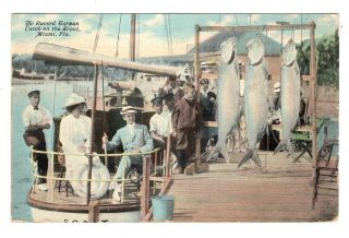 1911 Post Card Three Huge Fish " Record Tarpon Catch On The Scout " Miami Beach Fl