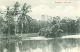 Singapore.  Tyersall Lake
