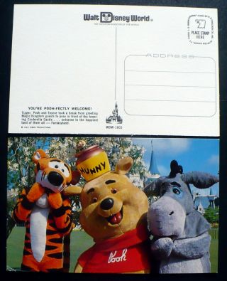 1970s Walt Disney World Winnie The Pooh,  Eeyore,  Tigger Orlando Fl