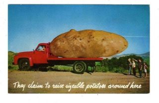 Vintage Ford Truck With Exaggerated Giant Potato,  Postcard