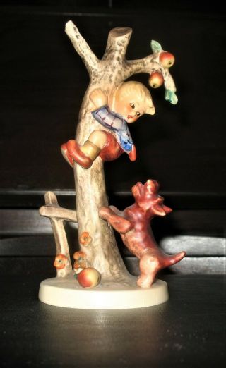 Goebel Hummel - “Culprits” Boy Chased Up Tree Figurine 2