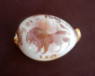 Cowrie Shell Vintage Carved Zodiac Sign Leo 3½ Inches In Wonderful