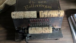 The Gem Roller Organ W/ 3 Cobs Shape.