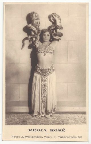 1920 Studio Real Photo -,  Risqué,  Semi Naked Snake Woman