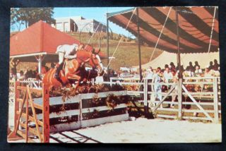 Branchville,  Nj,  Sussex County Farm & Horse Show,  Jumping,  Pm 1961