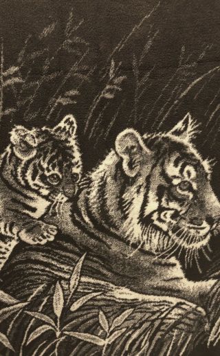 San Marcos 75” X 53” Reversible Brown Acrylic Blend Tiger,  Cub Blanket Vintage 4