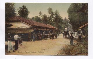 Road To Mount Lavinia Ceylon