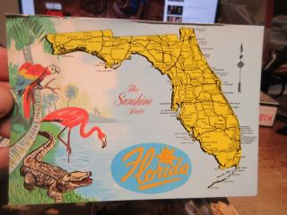 Vintage Old Postcard Florida Cartoon State Map Pink Flamingo Macaw Alligator Rte