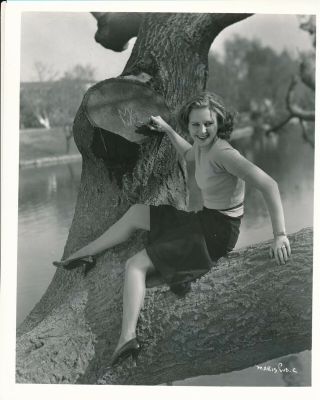 Maris Wrixon 1940s 8 X 10 Sexy Leggy Glamour Press Photo Vv