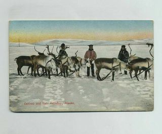 1909 Native Alaskan Eskimo & Reindeer Alaska Postcard Treadwell Ak Cancel Bv9943