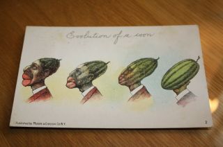 Black Americana Evolution Of A Coon Man Watermelon Postcard 1906 Metamorphic