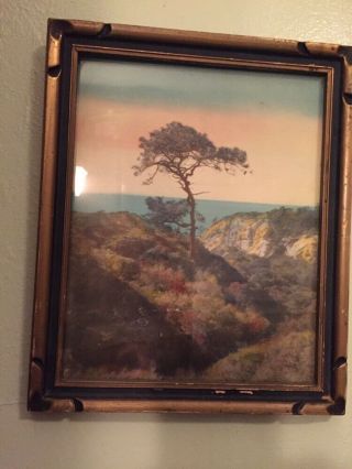 Antique California Hand Tinted Photo Lone Tory Or Cypress And Ocean Iconic