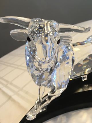 Swarovski 2004 Bull Limited Edition with Case and Certificate 628483 2