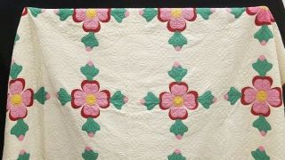 Vintage Handmade Hand Stitched Pink Red Green Ohio Rose Of Sharon Quilt 98 X 76