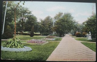 Public Gardens Halifax Nova Scotia Canada Montreal Import No.  918 Postcard 1906
