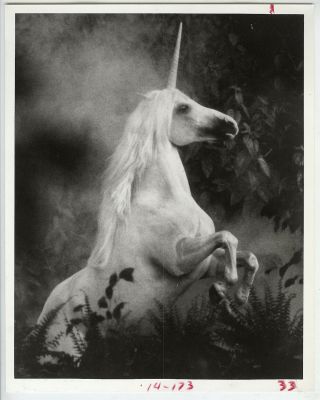 Robert Vavra Vintage 1983 " Unicorns I Have Known " Press Photo