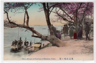 Cherry Blossom & Ferryboat At Mukojima,  Tokyo: Japan Postcard (c39056)