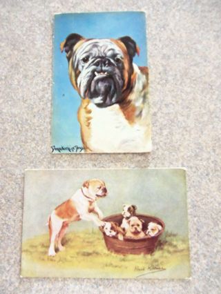 2 Old Bulldog Postcards Unposted Mom With 4 Pups & One Bulldog