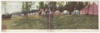 Willow Park Camp,  Yellowstone National Park - C1910s Wylie Co Panoramic Postcard