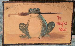 Frog & Umbrella,  Oregon Webfoot,  Hand Painted Novelty Leather,  Post Card 1908