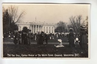 Schutz Real Photo Postcard The Easter Egg Roll At The White House Washington Dc