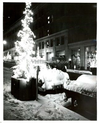 1956 Press Photo Holiday Christmas Trees Motorists Windshields Vintage St 8x10