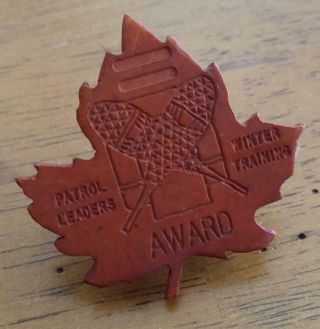 Neal Slide Pre Trademark Patrol Leaders Winter Training Award