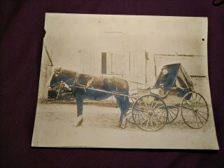 Dr.  Philo Alden,  Benton County,  Ark Doctor 8x10,  Rare Old Picture