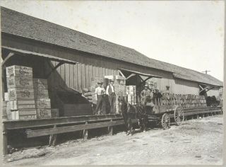 Large Cabinet Photo Of Freight Depot W/ Workers,  Wagon & Supplies - Hico Texas
