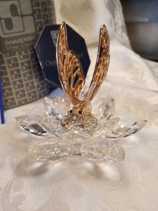 Rare Swarovski Crystal Gold Butterfly 7551nr100 And Papers