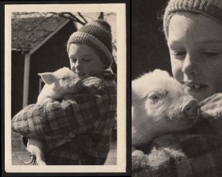 Snaggle - Tooth Boy Loves Wiggling Cute Piglet Pet 1950s Vintage Photo