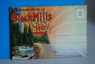 (s089) Souvenir Folder,  Black Hills South Dakota,  18 Views