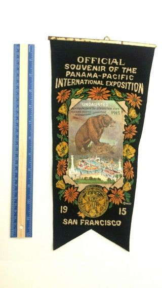 1915 Ppie Panama Pacific International Exposition Souvenir Pennant Postcard