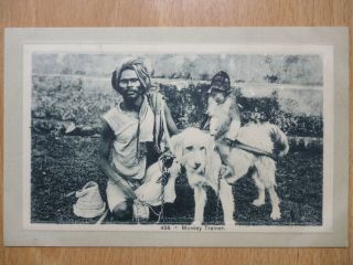 Monkey Trainer India Monkey Riding On A Dog Vintage Postcard Printed In Germany