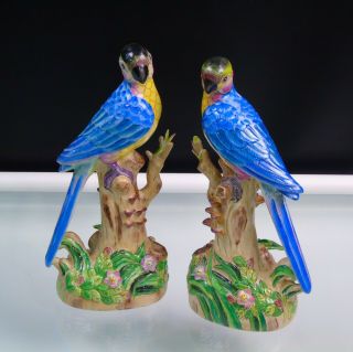Porcelain Parrots Andrea By Sadek Asian Tropical Birds Pair Beach Island