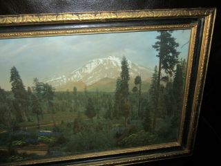 Early 20th Century hand tinted framed photo,  Mt.  Shasta California,  Bear Photo Co 5