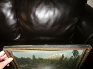 Early 20th Century hand tinted framed photo,  Mt.  Shasta California,  Bear Photo Co 6