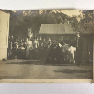 Antique Photo Of Schepp’s Famous Dog,  Monkey And Pony Show,  County Fair?