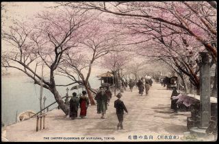 Mukojima,  Tokyo Japan C.  1907 - 09 - People On Road Near Merchants Scene - H/c