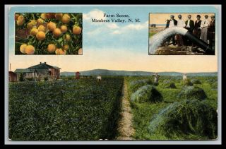 Scarce Mimbres Valley Mexico Farm Scene,  Irrigation Equipment?,  Postcard