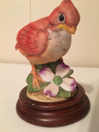 Vintage Baby Red Cardinal Bird By Andrea By Sadek W/wooden Base No.  6350