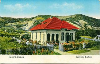 Romania " Beceni - Buzeu " Little Place Buzau Area,  " Cretoiu " Pharmacy V.  Rare Old Pc