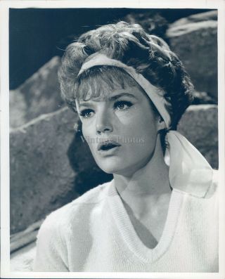 1965 Photo Actress Pippa Scott Film Tv Celebrity Star Woman 7x9