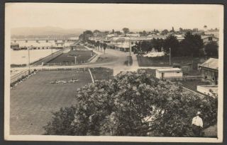 Postcard Zealand Early View Of Tauranga Rp