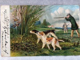 Vintage Postcard Hunter With Hunting Dogs.  Early 1900s Stockholm