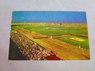 Bay Meadows Race Track,  San Mateo,  Ca Postcard 1951