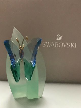 Swarovski Paradise Large Butterfly Acadia Lavender Stand And Cert
