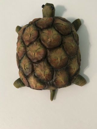Enesco Home Grown Pineapple Turtle Figurine 4
