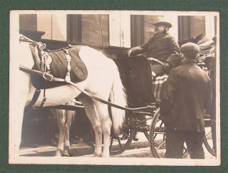 1910s Buffalo Bills Wild West Large Card Mount Photo Of Bill Cody In Carriage